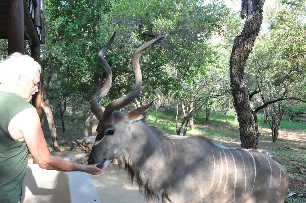 Treetops Marloth Park Exterior foto